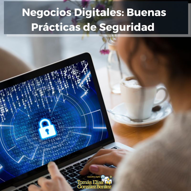 Negocios Digitales Buenas Prácticas de Seguridad